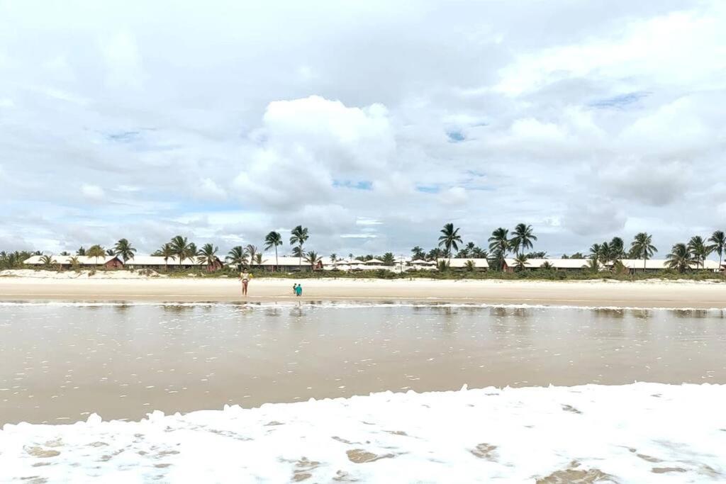 Apto Em Ilheus - Pe Na Areia Eksteriør billede